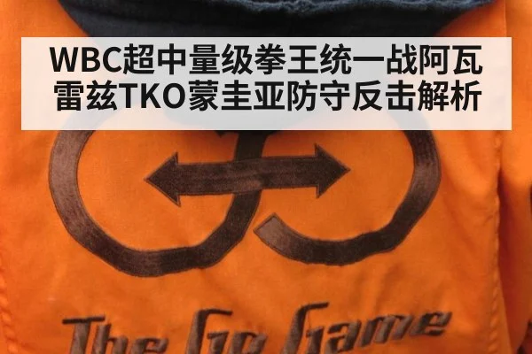 WBC超中量级拳王统一战阿瓦雷兹TKO蒙圭亚防守反击解析