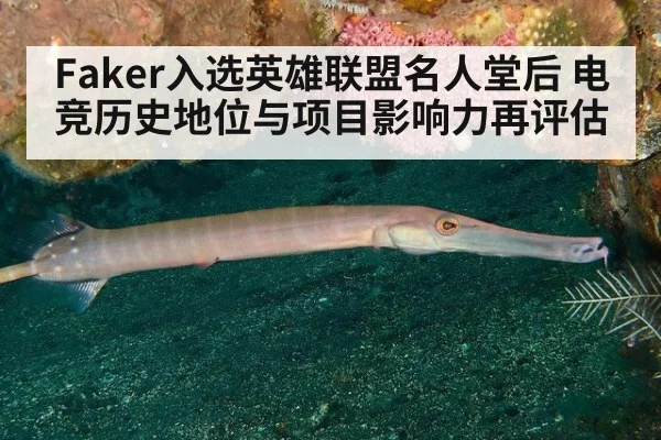 Faker入选英雄联盟名人堂后 电竞历史地位与项目影响力再评估